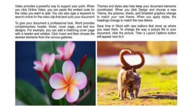 How to arrange texts and images neatly together