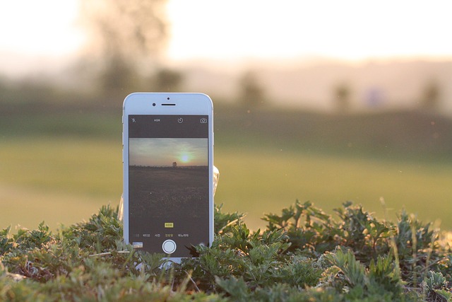 Vacations, Birthdays, and More: Here’s How to Easily Create a Photo Collage with Your iPhone