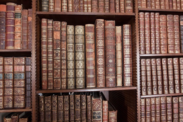 4 Tips to Help You Find Every Book (and Audiobook) in Your Library
